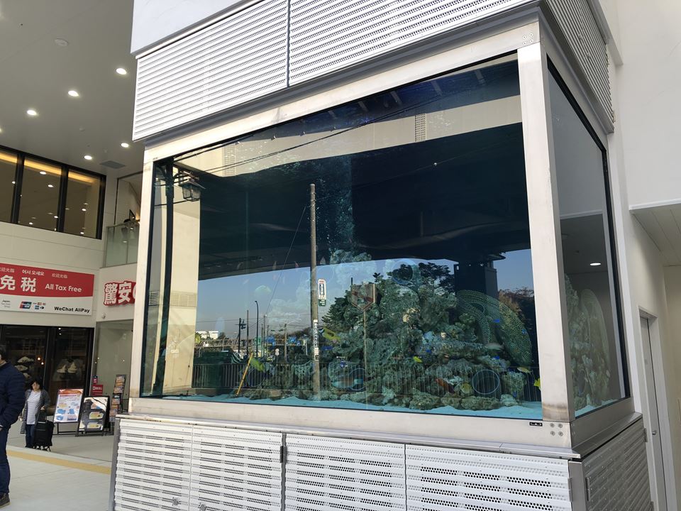 港山下ナナイロの正面にある巨大水槽