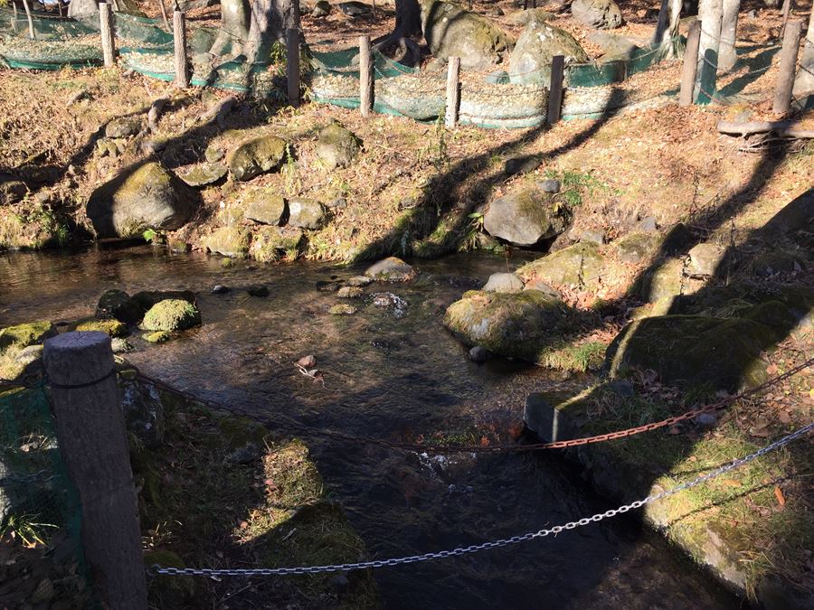 山梨県北杜市にある、日本名水百選にも選ばれた三分一湧水の写真