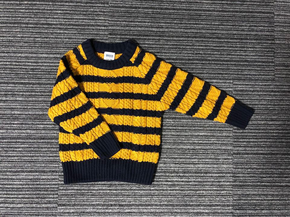 ブログ収入で買ったものの写真