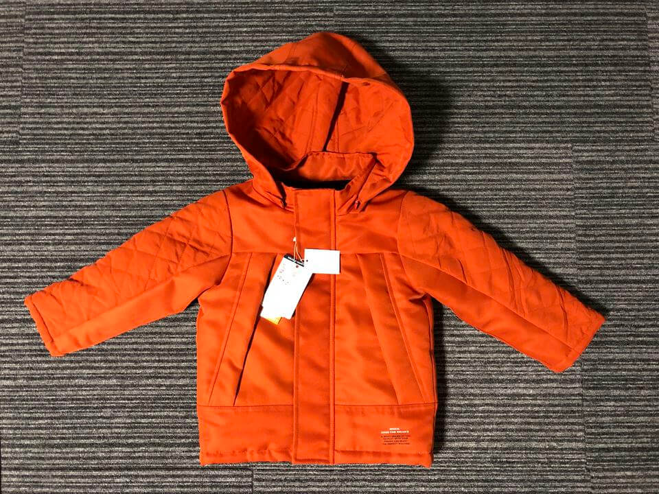 ブログ収入で買ったものの写真
