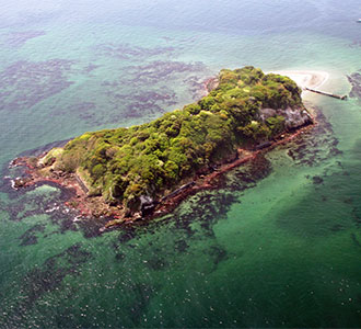 「宴島（うたげじま）2019　真夏のモンキー・D・ルフィ島」が開催される猿島の写真