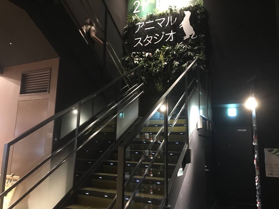オービィ横浜の中にある階段