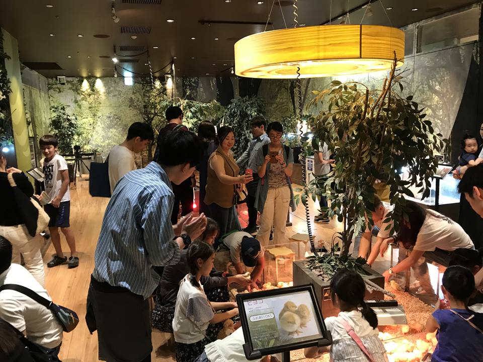 オービィ横浜のアニマルスタジオ写真