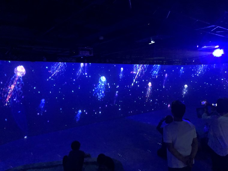 横浜駅東口直通のエンタメビル「アソビル」に期間限定で開催されている「光の深海展 OCEAN BY NAKED」のPARADISE写真