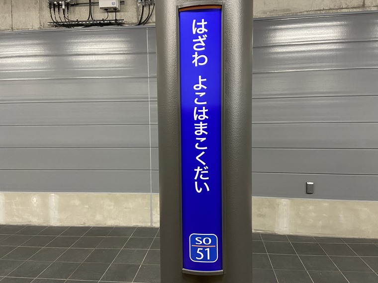 新しい駅、羽沢横浜国大駅の標識写真