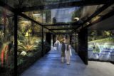 2020年7月17日「カワスイ 川崎水族館」がルフロン川崎にオープン!レストランやカフェも併設