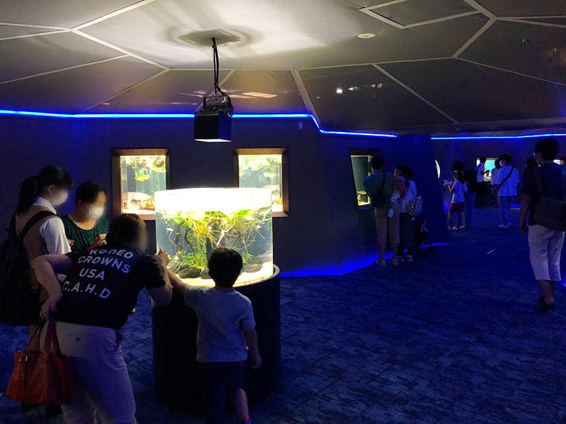 「カワスイ 川崎水族館」のオセアニア・アジアゾーンの写真