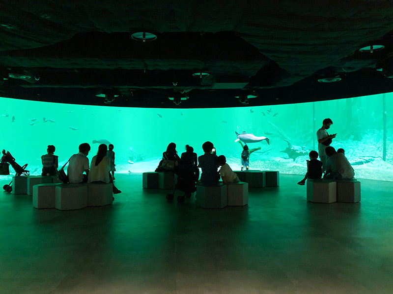 「カワスイ 川崎水族館」のパノラマスクリーンゾーンの写真