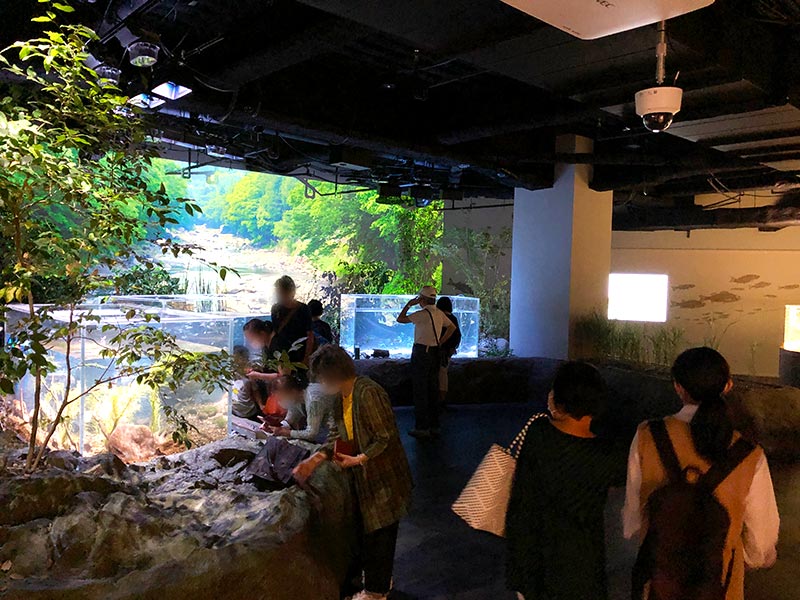 「カワスイ 川崎水族館」の多摩川ゾーン写真