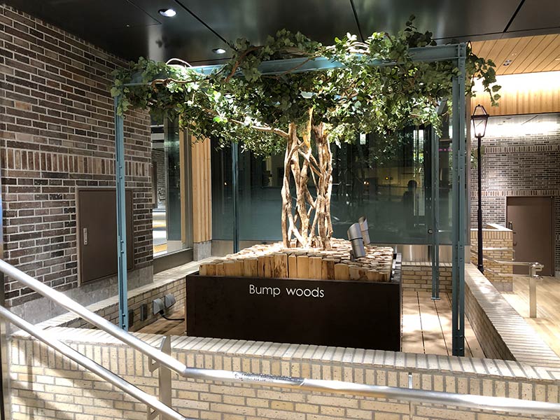 エキュートエディション横浜にある待ち合わせ広場サウスコートの植物
