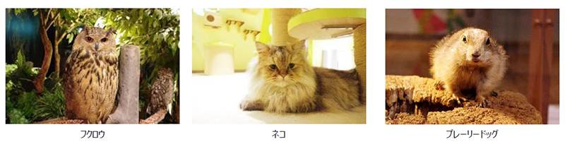 MARK ISみなとみらいにオープンする「Moff animal world」のイメージ画像