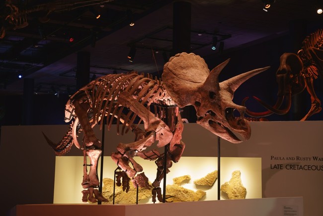 Sony presents DinoScience 恐竜科学博 ~ララミディア大陸の恐竜物語~のイメージ画像
