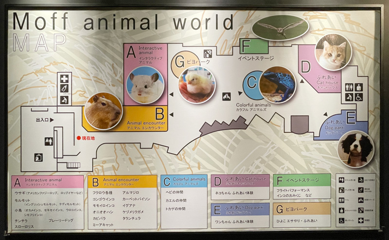 Moff Animal World MARK IS みなとみらい店のフロアマップ写真